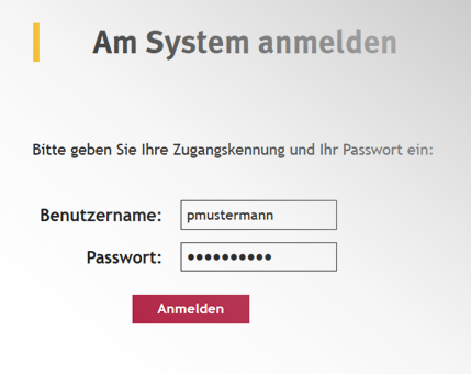 Screenshot Eingabe der RZ-Kennung Screenshot Eingabe der RZ-Kennung
