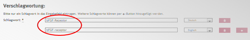 Screenshot Schlagwortvergabe Screenshot Schlagwortvergabe