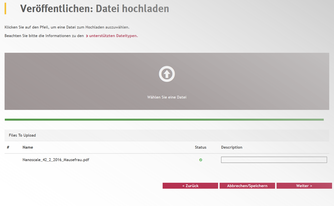 Screenshot Hochladen der pdf-Datei Screenshot Hochladen der pdf-Datei